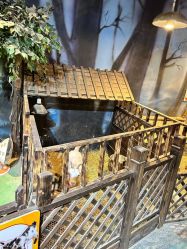 -酷嗒动物文化乐园(cutezoo西溪乐天城店)