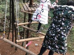 游乐设施-梦幻奥陶纪景区