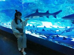-烟台海昌鲸鲨海洋公园