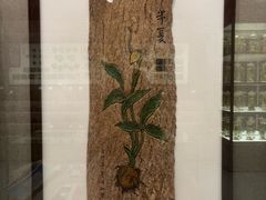 -北京中医药大学-中医药博物馆