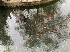 -水磨沟公园