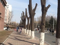-吉林大学(前卫南区)