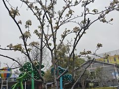 -宁波儿童公园(鄞州区)