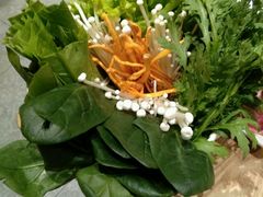 -掂档潮汕牛肉火锅(沈阳万象城店)