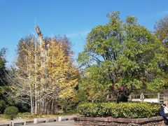 -九曲溪竹筏码头