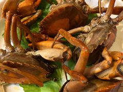 -聪辉同安老美食饭店(大元路店)