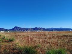 -敕勒川草原