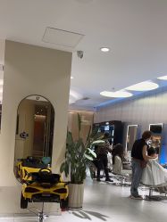 点击看大图 -PE SALON