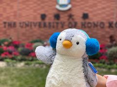 -香港大学