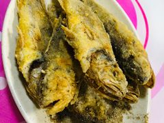-老红桥炸灌肠牛肚锅烧烤(定福庄店)