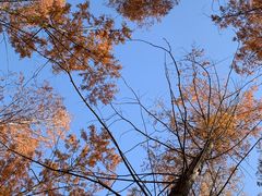 -河南省黄河迎宾馆