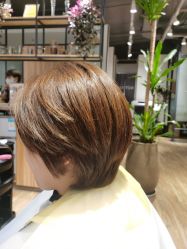 -Mentor Hair Salon