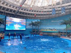 -海合安成都极地海洋公园