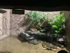 -青青世界
