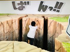 -东京塔海贼王主题公园
