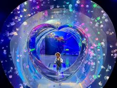 -海合安成都极地海洋公园