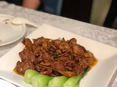 酱烧脆舌-琬苑鸽庄·川粤融合菜(解放碑总店)
