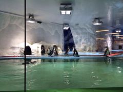 iphone_upload_pic-北戴河圣蓝海洋公园