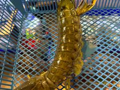 -两兄弟Song Pee Nong(2号店)
