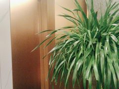 -旺顺阁·北京菜·烤鸭(大望路店)