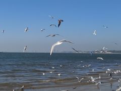 -老虎石海上公园