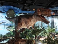 -陕西自然博物馆