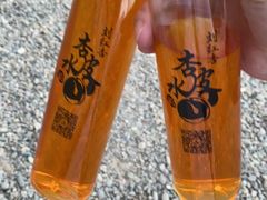 -刘红杏·杏皮水店(月牙泉小镇店)