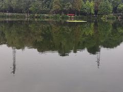 -重庆彩云湖湿地公园