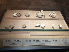 -烟台市博物馆