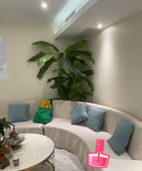 -健身堂科技美肌SPA