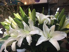 -双季花艺园艺市场(浦东店)