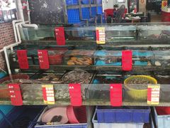 -鑫鸿达·海鲜闽菜热炒小馆(中山路店)