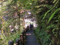 -龙苍沟森林公园