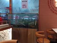 -三宝泥炉·活烤鳗鱼(七宝宝龙店)