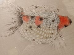 -江苏省美术馆(长江路新馆)