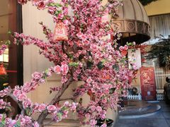 -桃花印巷江南小馆(朝阳路店)