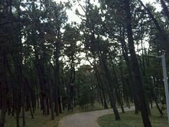 -山东大学(威海校区)