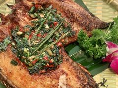 -金塔傣乡·云南民族特色菜·傣味手抓饭(金瓦路店)