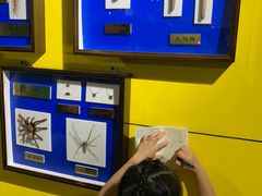 -上海昆虫博物馆