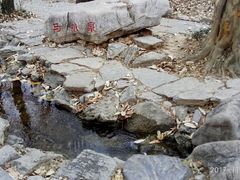 -皇藏峪国家森林公园