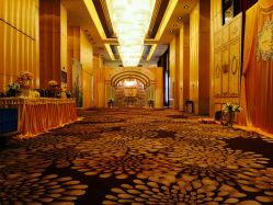 点击看大图 -上海金桥红枫万豪酒店·宴会厅