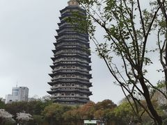 -红梅公园