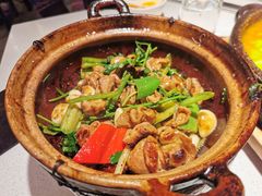 啫啫肥肠-煲煲好(朝阳门店)