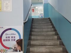 -甄爱宠物医院(疏影路店)