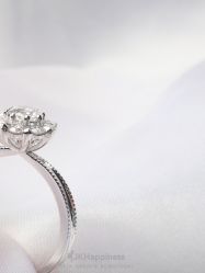 -JKHappiness培育钻石钻戒婚戒定制(天河国贸店)