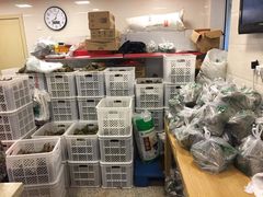 零售区-璐坊粽王(复兴中路店)