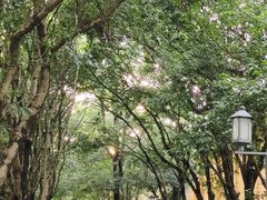 -桂林独秀峰王城景区