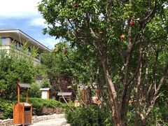 -华山御温泉度假村