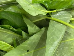 空气菜（生）-美兰春记食店·龙舌坡红烧牛肉