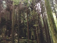 -山王坪喀斯特国家生态公园